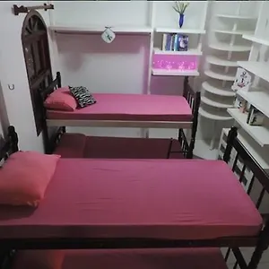 https://planet-hostel-barra-florianopolis.santa-catarina-brasil.com
